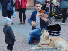Пеещо куче се превърна в атракция по Главната в Пловдив