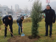 Увеличават щата на ОП "Градини и паркове“ с още 38 бройки