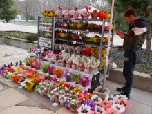 Цветна магия за 8 март в сърцето на Пловдив