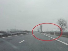 Мистериозна катастрофа на магистрала "Тракия" до Пловдив