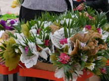 Астрономическата пролет настъпва днес в 12.29 часа