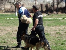 Полицейски кучета "заловиха" опасен престъпник в Пловдив