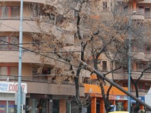 Продадоха 22,5 км тролейбусни жици в Пловдив за 149 500 лева