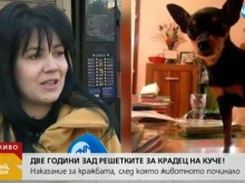 Две години затвор за откраднат пинчер в Пловдив