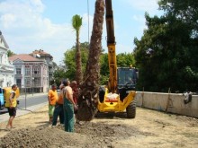 Махат палмите до Католическата църква в центъра на Пловдив завинаги!