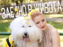 Благотворителна кампания за онкоболни деца