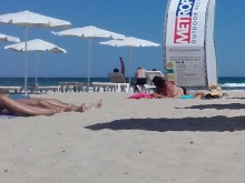 �������� ���� ��������� 251 ������� ���, 2017-� ���� ���-�����������