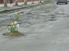 В Куклен ще сеят рози в уличните дупки