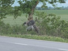 Извънредно: Зловеща катастрофа край Пловдив, има 4 жертви!