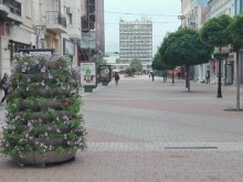 Красиви цветни "пирамиди" поставиха на Главната