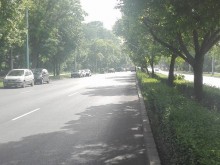 Само в Plovdiv24.bg: Първа версия за тежкото ПТП в Пловдив, при което загина полицай