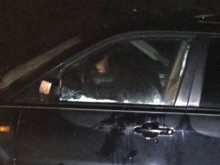 Мечка влезе в автомобил заради лакомства, но се заключи