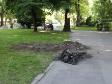 Разкопаха Цар Симеоновата градина