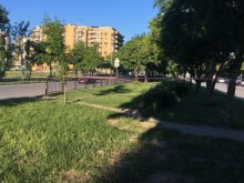 69-годишен е мъжът, който се обеси на дърво на оживено място в Пловдив