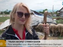 Истина е! Очарователна следователка от Молдова пасе овце в пловдивско село!