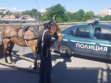 Още една репатрирана каруца в Пловдив
