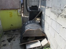 Кучетата от адския приют за първи път видяха слънце, чист въздух и човешко отношение