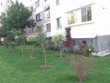 Изобретателни пловдивчани сътвориха градинка за чудо и приказ!
