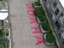Романтичен младеж умили хиляди във Фейсбук