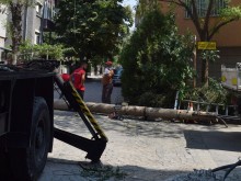 В "Южен" ще се проведе акция за премахване на стари бетонни стълбове