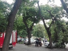 Пловдивчани след бурята: В източната част на града ни бе страшно!