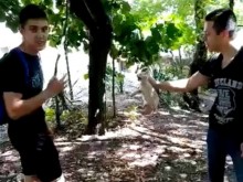 Ученици пребиват невинни животинки като боксови круши, хвалят се във Фейсбук