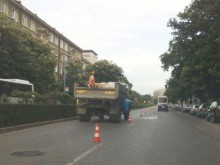 ОП "Градини и паркове" Пловдив търси работници