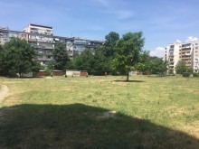 Пловдивчанин: Има място и за кучетата, и за децата