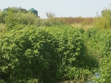 Министър отиде на внезапна проверка в Труд заради сигнали за миризми