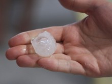 Производители на ръба на фалита след падналите градушки