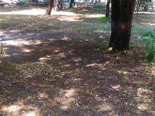 Възстановиха поливната система в парк "Сърнена гора"