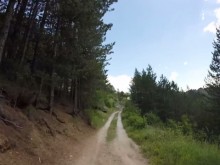 Ни вест, ни кост от 16-годишното момче, блъснало туристи край Триград