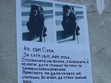 Да помогнем на куче, останало без стопанина си, да си намери нов