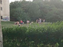 Материал в Plovdiv24.bg подпали форума, ето продължението!