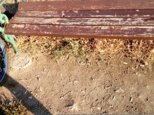 Аларма: Мръсотия по спортните съоръжения на Гребната база