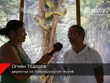 Най-отровните влечуги на земята ще налазят зала "Лотус" в Пловдив
