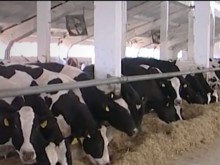 Млякото и млечните продукти поскъпват