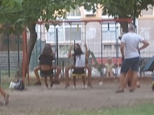 Големи моми налазиха детска люлка, забавляват се две по две