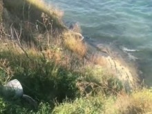 Тръба с фекални води се излива директно в морето край Крайморие