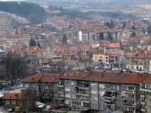 10-годишно момче счупи крачетата на кученце и после го уби пред други деца