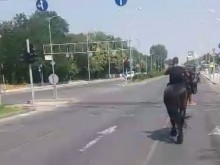 Ох, леле! Да се смеем ли, или да плачем???