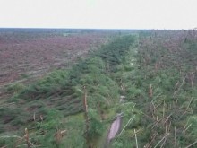 Петима загинали след торнадо в Полша, сред тях две деца