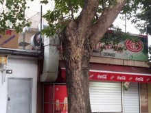Дърво до дюнерджийница притесни пловдивчанка