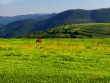 Всички чудеса на природата накуп само на 1 час от Пловдив: Родопска магия, която ще остане завинаги в сърцето ви!