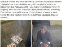 Пожарникари спасиха прасета, след месеци ядоха от тях, но после се извиняваха