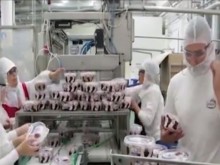 Не е ясно колко храни със замърсен яйчен прах са продадени в България