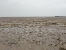 Рядък феномен: "Ирма" изсмука водата край плажовете на Бахамите