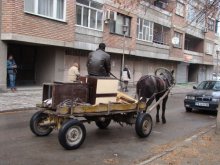 Наказват каруците след влизане на новата наредба