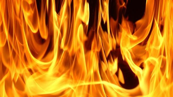 Човешка небрежност предизвика пожар в землището на гр Девня  Горските стражари
