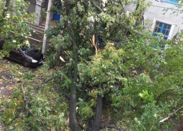 digi24 ro
8 души загинаха в резултат на силна буря в западните